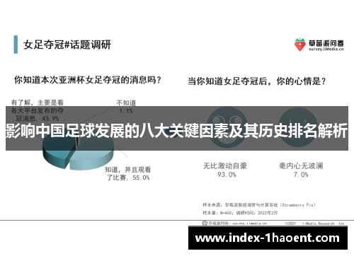 影响中国足球发展的八大关键因素及其历史排名解析