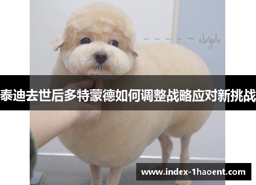 泰迪去世后多特蒙德如何调整战略应对新挑战