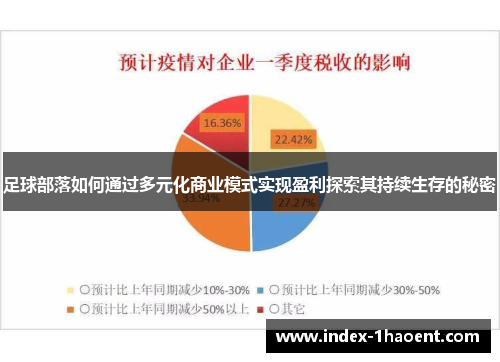 足球部落如何通过多元化商业模式实现盈利探索其持续生存的秘密