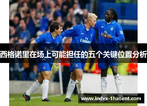 西格诺里在场上可能担任的五个关键位置分析