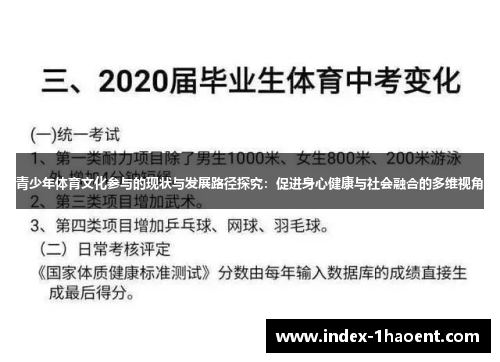 青少年体育文化参与的现状与发展路径探究：促进身心健康与社会融合的多维视角