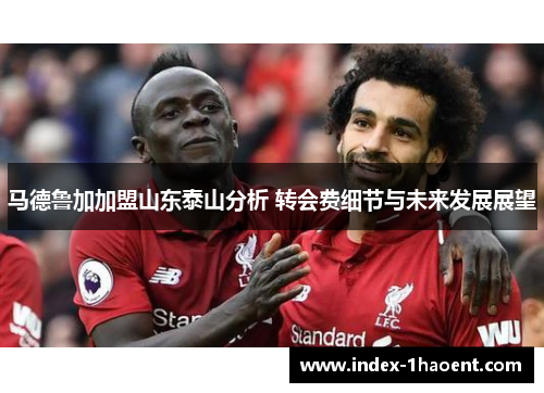 马德鲁加加盟山东泰山分析 转会费细节与未来发展展望 马德鲁加加盟山东泰山分析 转会费细节与未来发展展望